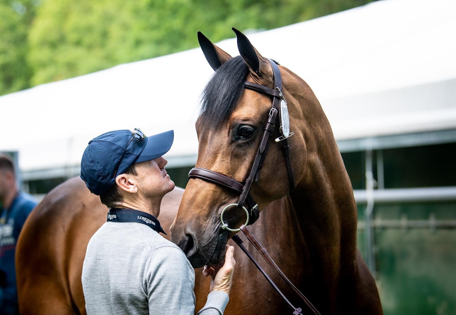 McLain Ward Olympic Gold Medalist